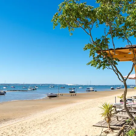 Manacor By Interhome Daire